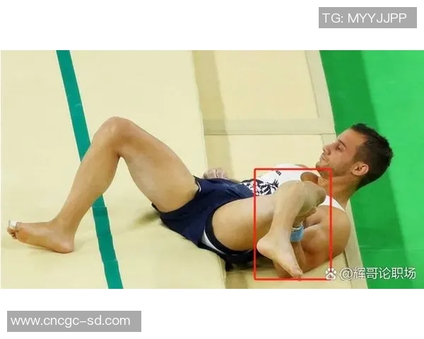 奥运会体操跳马动作难度提升策略及其对竞技表现的影响研究